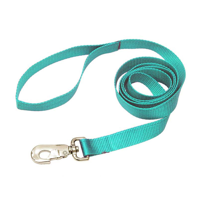 Nylon Leash, - Lucky Pet